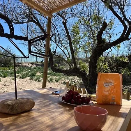 Cabanon Bohème Les Pieds Dans Le Sable Et En Première Ligne De *