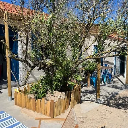 Casa vacanze Cabanon Bohème Les Pieds Dans Le Sable Et En Première Ligne De Marseillan (Herault)