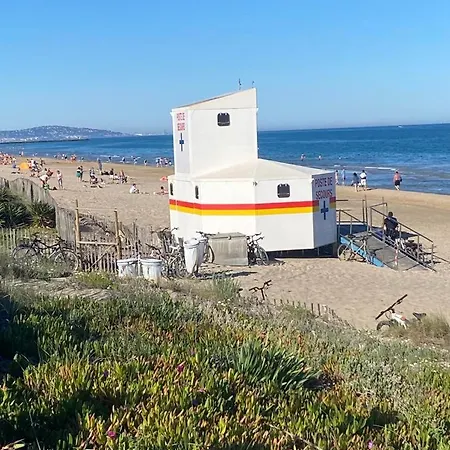Casa vacanze Cabanon Bohème Les Pieds Dans Le Sable Et En Première Ligne De