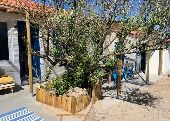 Tatil Evi Cabanon Boheme Les Pieds Dans Le Sable Et En Premiere Ligne De Marseillan (Herault)