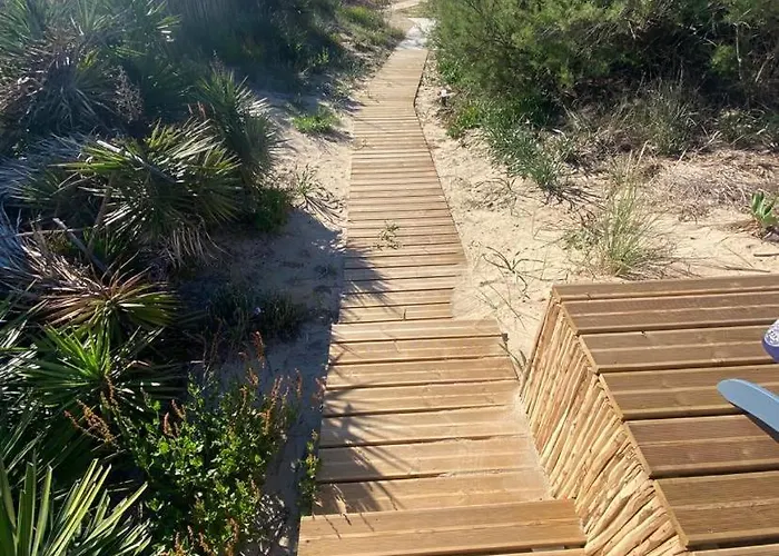 Cabanon Boheme Les Pieds Dans Le Sable Et En Premiere Ligne De